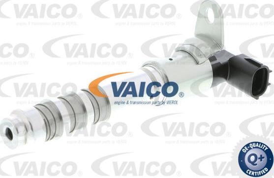VAICO V40-1557 - Регулирующий клапан, выставление распределительного вала avtokuzovplus.com.ua
