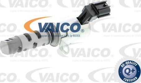 VAICO V40-1562 - Регулирующий клапан, выставление распределительного вала avtokuzovplus.com.ua