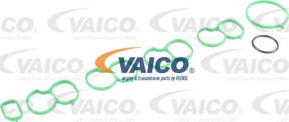 VAICO V40-1579 - Модуль впускной трубы autodnr.net
