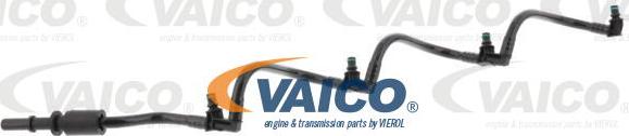 VAICO V40-1600 - Шланг, витік палива autocars.com.ua