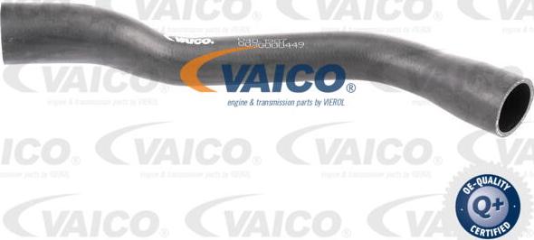 VAICO V40-1987 - Шланг для удаление воздуха, топливный бак autodnr.net