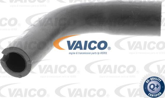 VAICO V40-1991 - Шланг, вентиляція картера autocars.com.ua