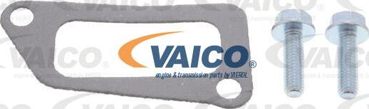 VAICO V40-2107 - Трубка охолоджуючої рідини autocars.com.ua