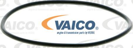 VAICO V40-50019 - Водяний насос autocars.com.ua