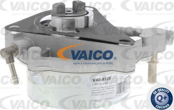 VAICO V40-8125 - Вакуумный насос, тормозная система avtokuzovplus.com.ua