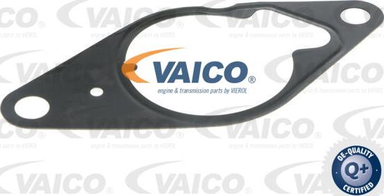 VAICO V40-8127 - Вакуумний насос, гальмівна система autocars.com.ua