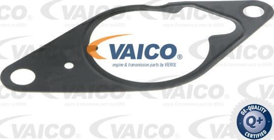 VAICO V40-8127 - Вакуумный насос, тормозная система avtokuzovplus.com.ua