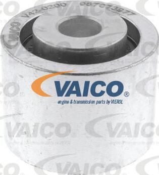 VAICO V42-0200 - Паразитний / провідний ролик, поліклиновий ремінь autocars.com.ua