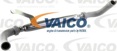 VAICO V42-0448 - Шланг радиатора avtokuzovplus.com.ua