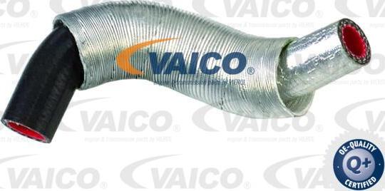 VAICO V42-0562 - Трубка, нагнетание воздуха avtokuzovplus.com.ua