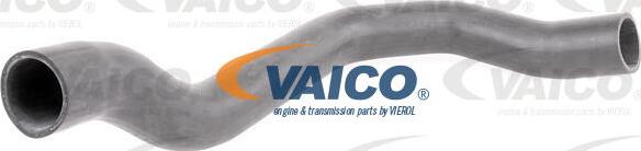 VAICO V42-0566 - Трубка нагнітається повітря autocars.com.ua