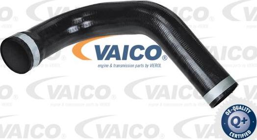 VAICO V42-0576 - Трубка нагнітається повітря autocars.com.ua
