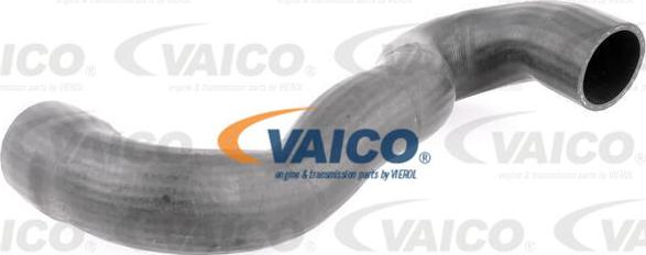 VAICO V42-0599 - Трубка нагнітається повітря autocars.com.ua