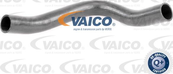 VAICO V42-0609 - Трубка нагнітається повітря autocars.com.ua