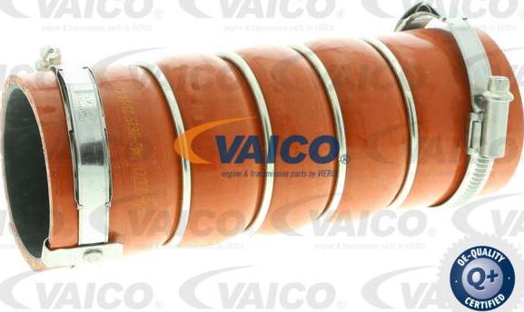 VAICO V42-0615 - Трубка нагнітається повітря autocars.com.ua
