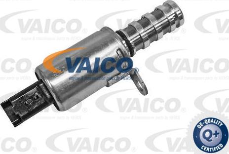 VAICO V42-0629 - Регулюючий клапан, виставлення розподільного вала autocars.com.ua