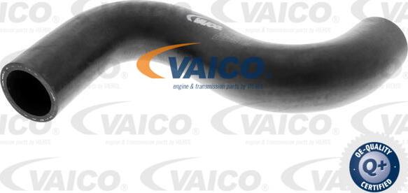 VAICO V42-0638 - Шланг радіатора autocars.com.ua