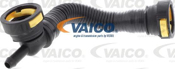 VAICO V42-0801 - Шланг, вентиляция картера avtokuzovplus.com.ua