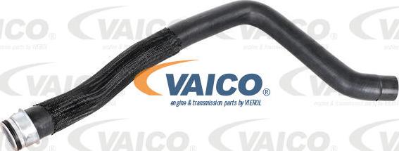 VAICO V42-0835 - Шланг радиатора avtokuzovplus.com.ua