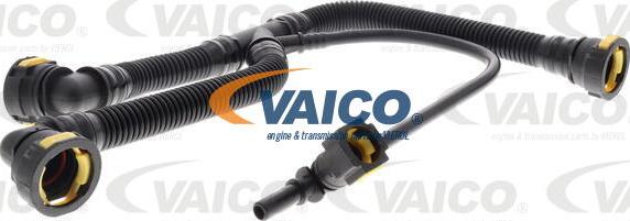 VAICO V42-0854 - Шланг, вентиляция картера avtokuzovplus.com.ua