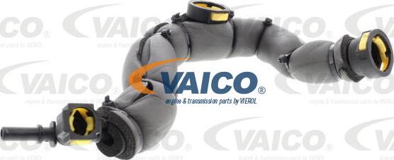 VAICO V42-0856 - Шланг, вентиляция картера avtokuzovplus.com.ua