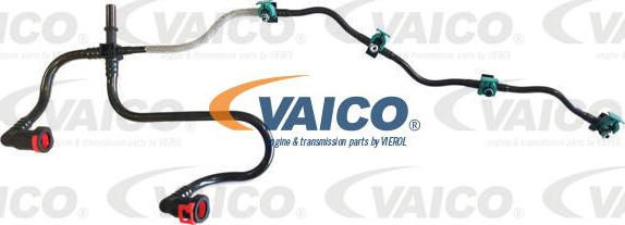 VAICO V42-0859 - Шланг, утечка топлива avtokuzovplus.com.ua