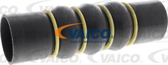 VAICO V42-0871 - Трубка, нагнетание воздуха autodnr.net