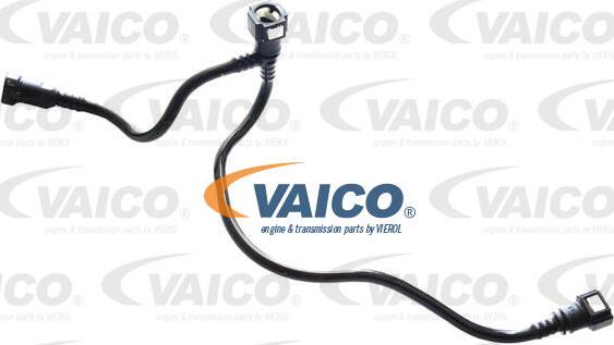 VAICO V42-0948 - Паливопровід autocars.com.ua