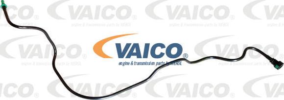 VAICO V42-0956 - Паливопровід autocars.com.ua