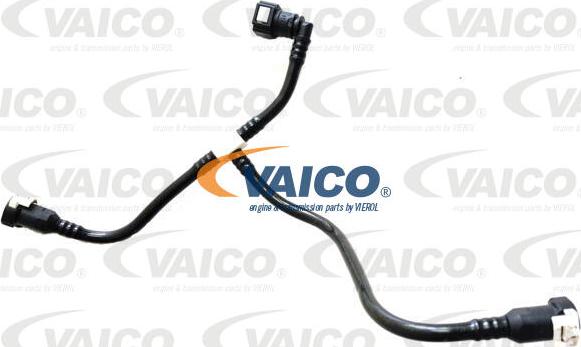 VAICO V42-0962 - Паливопровід autocars.com.ua