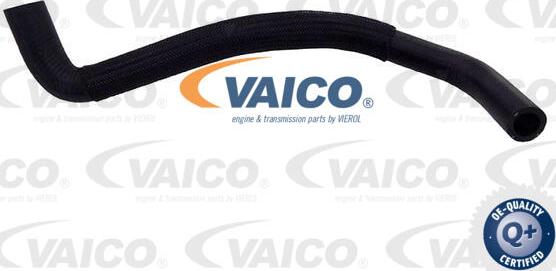 VAICO V42-1013 - Шланг радіатора autocars.com.ua