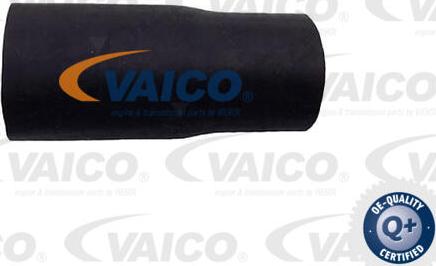 VAICO V42-1024 - Шланг радіатора autocars.com.ua