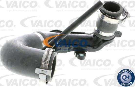 VAICO V46-0737 - Трубка, нагнетание воздуха autodnr.net