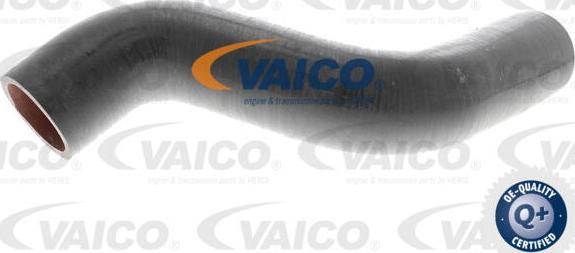 VAICO V46-0743 - Трубка нагнітається повітря autocars.com.ua