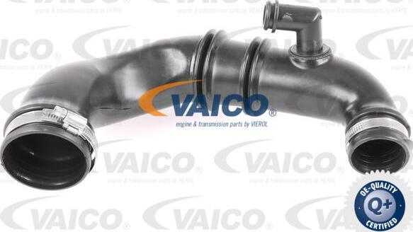 VAICO V46-0824 - Трубка нагнітається повітря autocars.com.ua