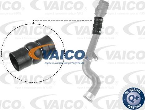 VAICO V46-0831 - Трубка нагнітається повітря autocars.com.ua