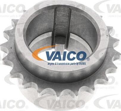 VAICO V46-10005 - Комплект ланцюга приводу распредвала autocars.com.ua