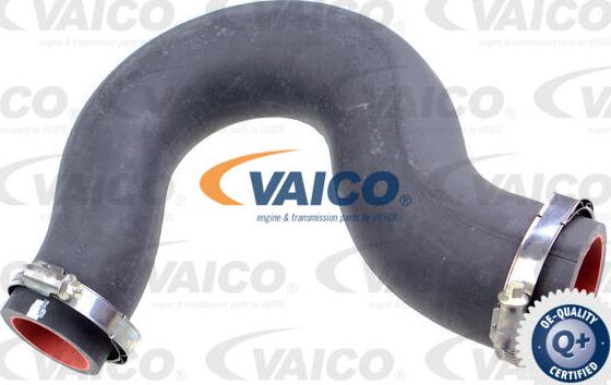 VAICO V46-1030 - Трубка нагнітається повітря autocars.com.ua