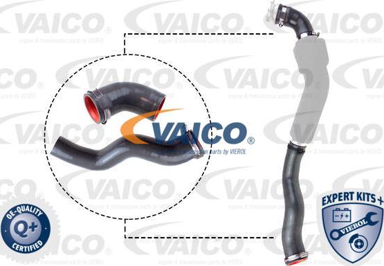 VAICO V46-1031 - Трубка нагнітається повітря autocars.com.ua
