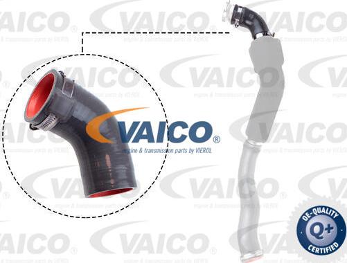 VAICO V46-1033 - Трубка нагнітається повітря autocars.com.ua