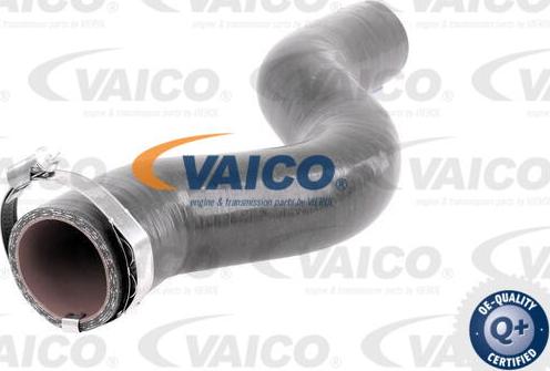 VAICO V46-1034 - Трубка нагнітається повітря autocars.com.ua