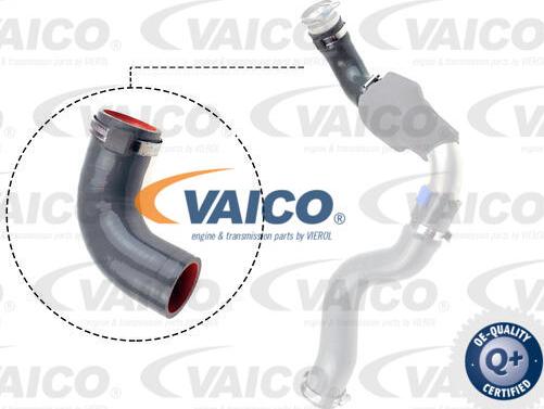 VAICO V46-1035 - Трубка нагнітається повітря autocars.com.ua
