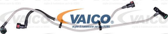 VAICO V46-1100 - Топливопровод autodnr.net