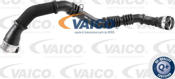 VAICO V46-1177 - Трубка нагнітається повітря autocars.com.ua