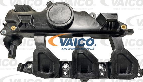 VAICO V46-1192 - Модуль впускной трубы avtokuzovplus.com.ua