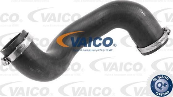 VAICO V48-0072 - Трубка нагнітається повітря autocars.com.ua