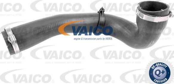 VAICO V48-0185 - Трубка нагнітається повітря autocars.com.ua
