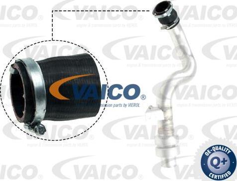 VAICO V48-0192 - Трубка нагнітається повітря autocars.com.ua