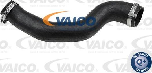 VAICO V48-0196 - Трубка нагнітається повітря autocars.com.ua