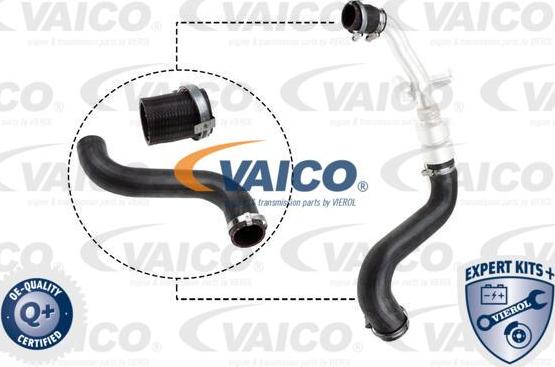 VAICO V48-0197 - Трубка нагнітається повітря autocars.com.ua